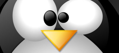 CVE-2018-1718 -Google Project Zero reports a new Linux Kernel flaw