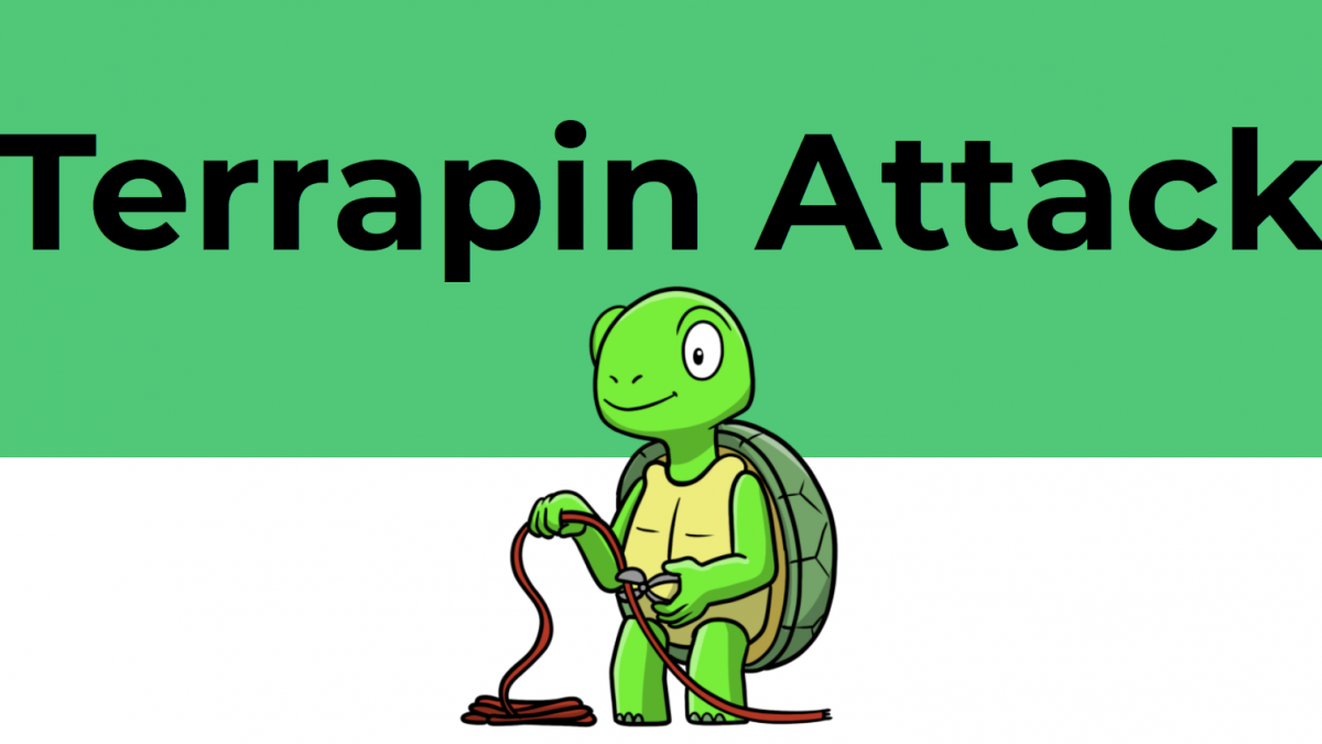Terrapin Attack: Breaking SSH Channel IntegrityBy Sequence Number Manipulation