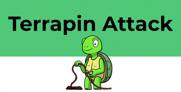 Terrapin Attack: Breaking SSH Channel Integrity By Sequence Number Manipulation